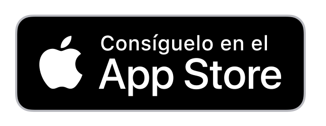 iOS version